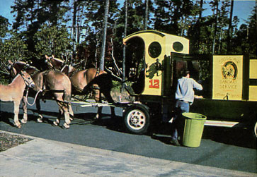 A Horse-Drawn Wagon Turned Sanitary Service